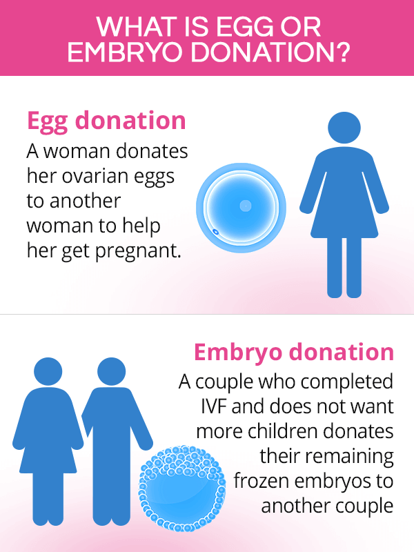 embryo-donation-dr-invitro-international-turkish-hospital-ivf-center