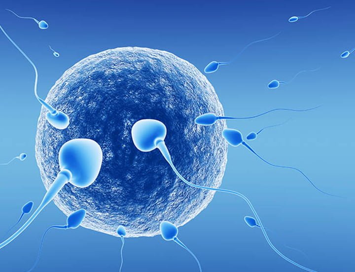 IVF WITH SPERM DONATION - Dr Invitro