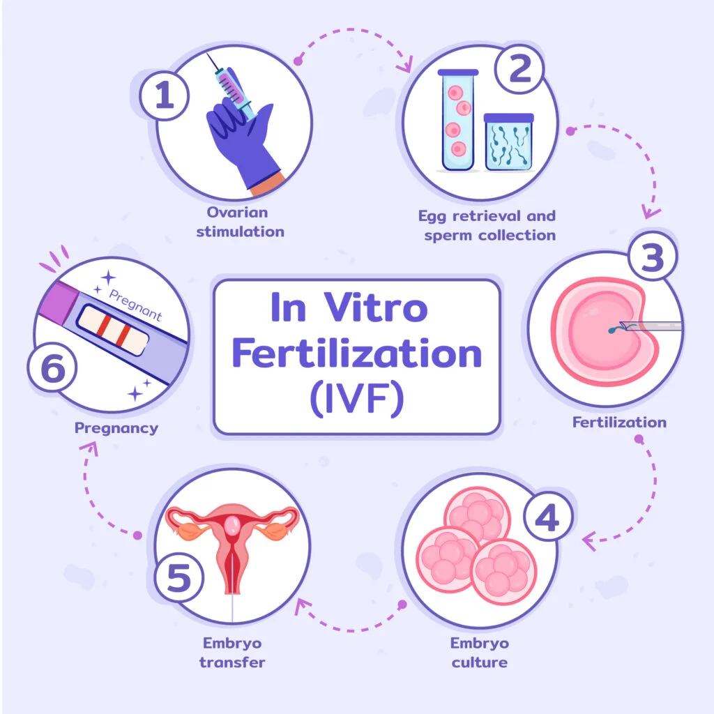 The-IVF-Journey-Understanding-the-5-Key-Stages