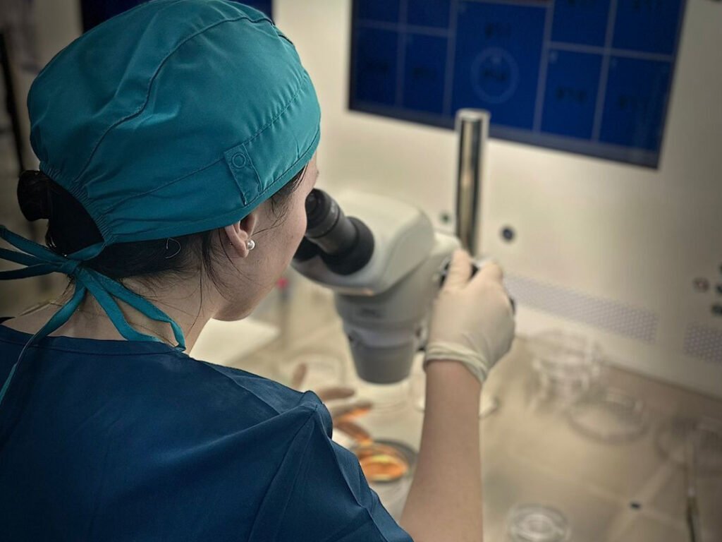 Stem Cell Treatments for Ovarian Failure and Poor IVF Response