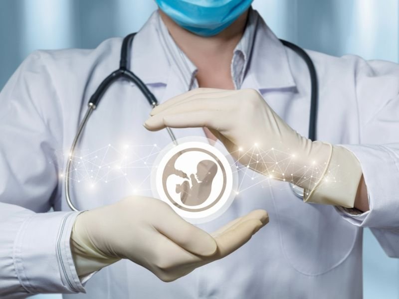 Frozen embryo transfer