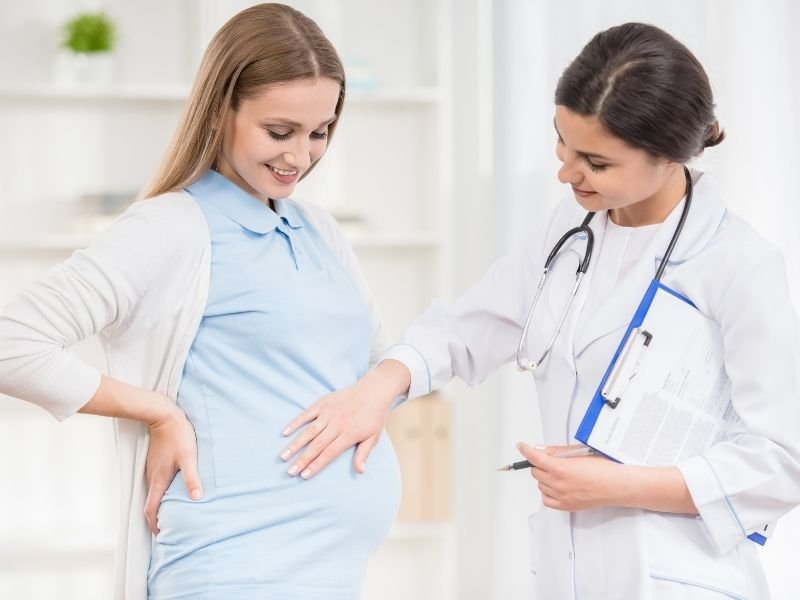 Mitochondrial Donation Programme