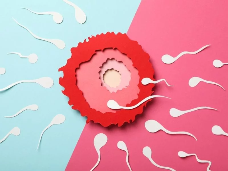 Surrogacy