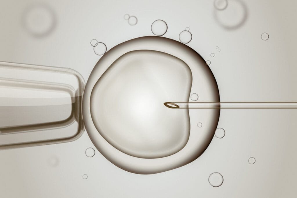 Best IVF clinics in Albania
