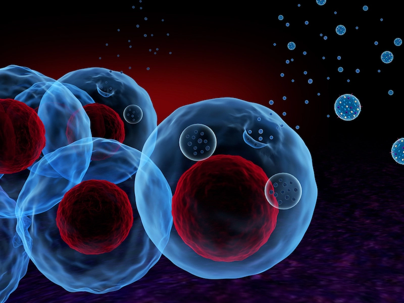 Exosome