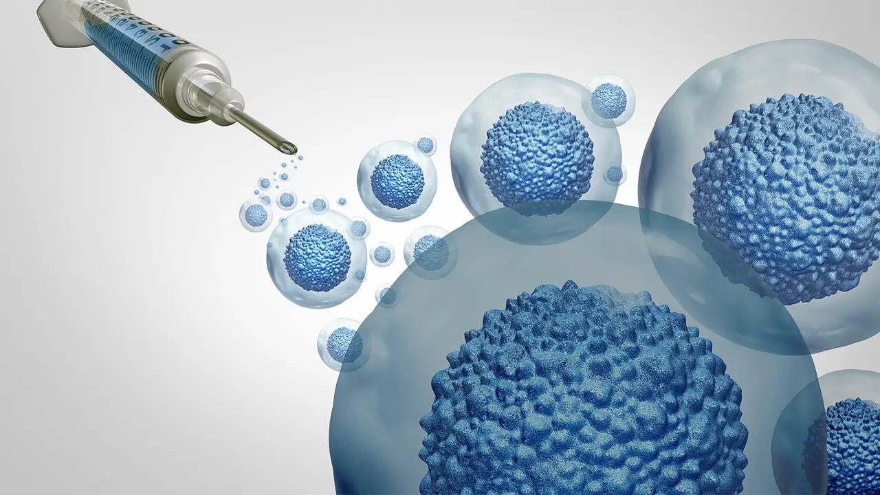 Frozen Embryo Transfer