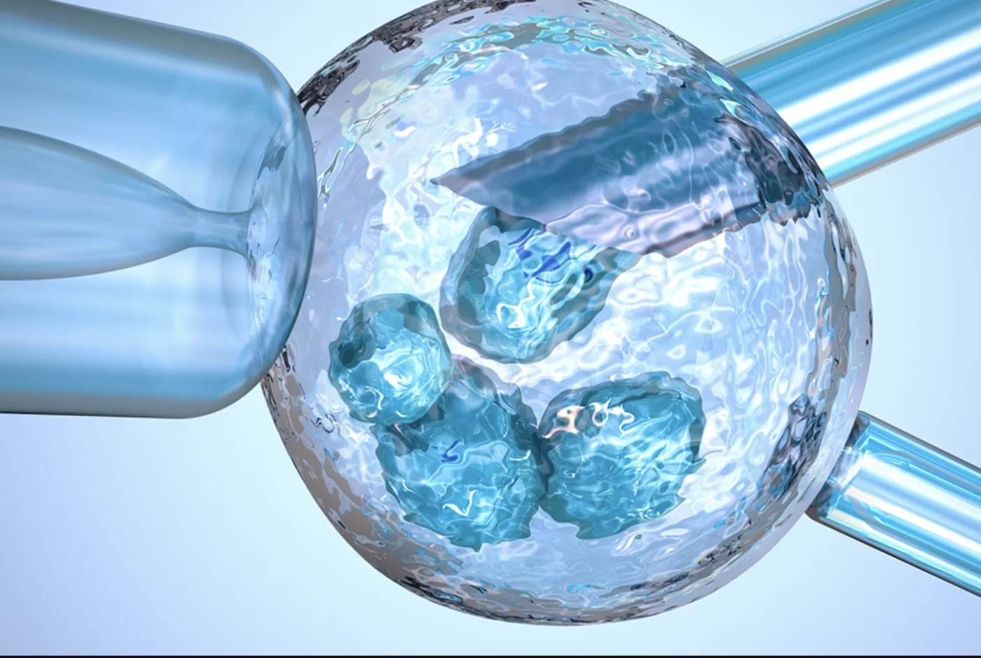 Embryo Donation