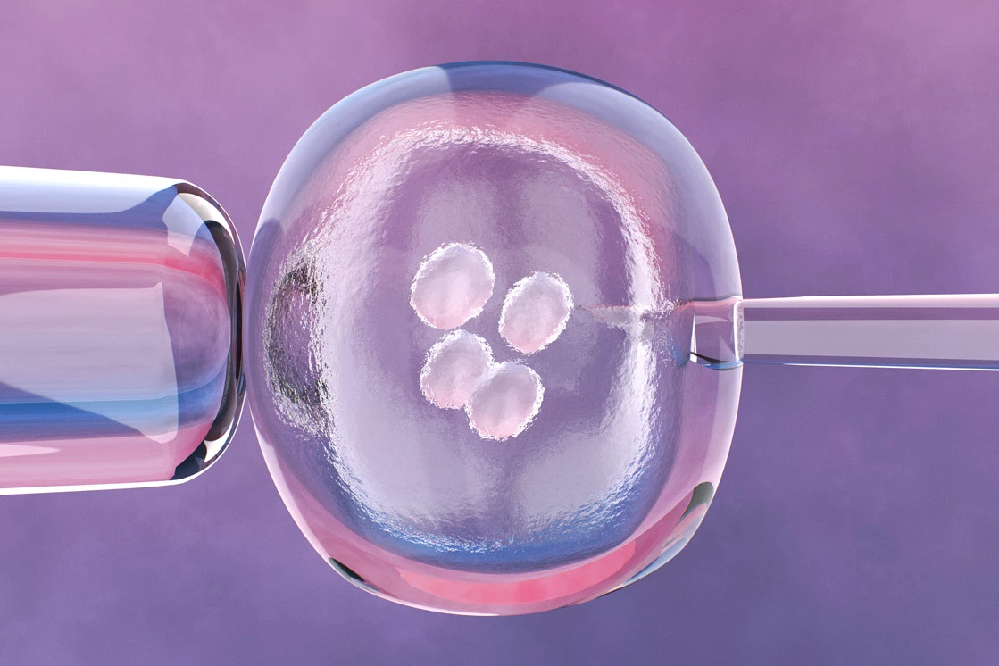 Mesenchymal Stem Cell